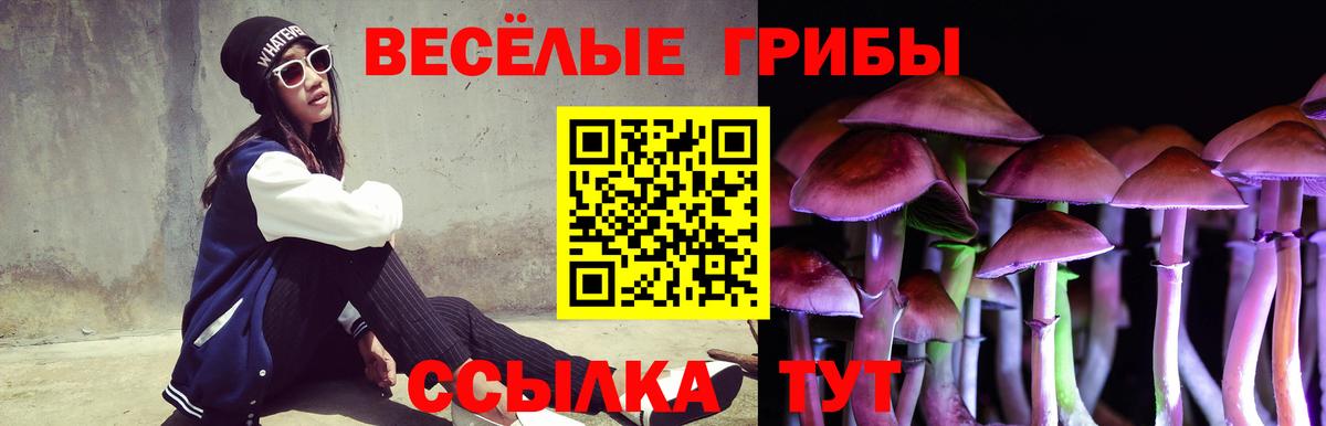 Псилоцибиновые грибы MAGIC MUSHROOMS  Псилоцибиновые грибы MAGIC MUSHROOMS  Вход с VPN  Обнинск 